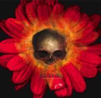 Warhorse (USA) : The Priestess